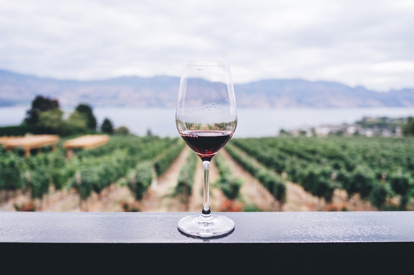 Klein Roosboom Boutique Winery wedding venue