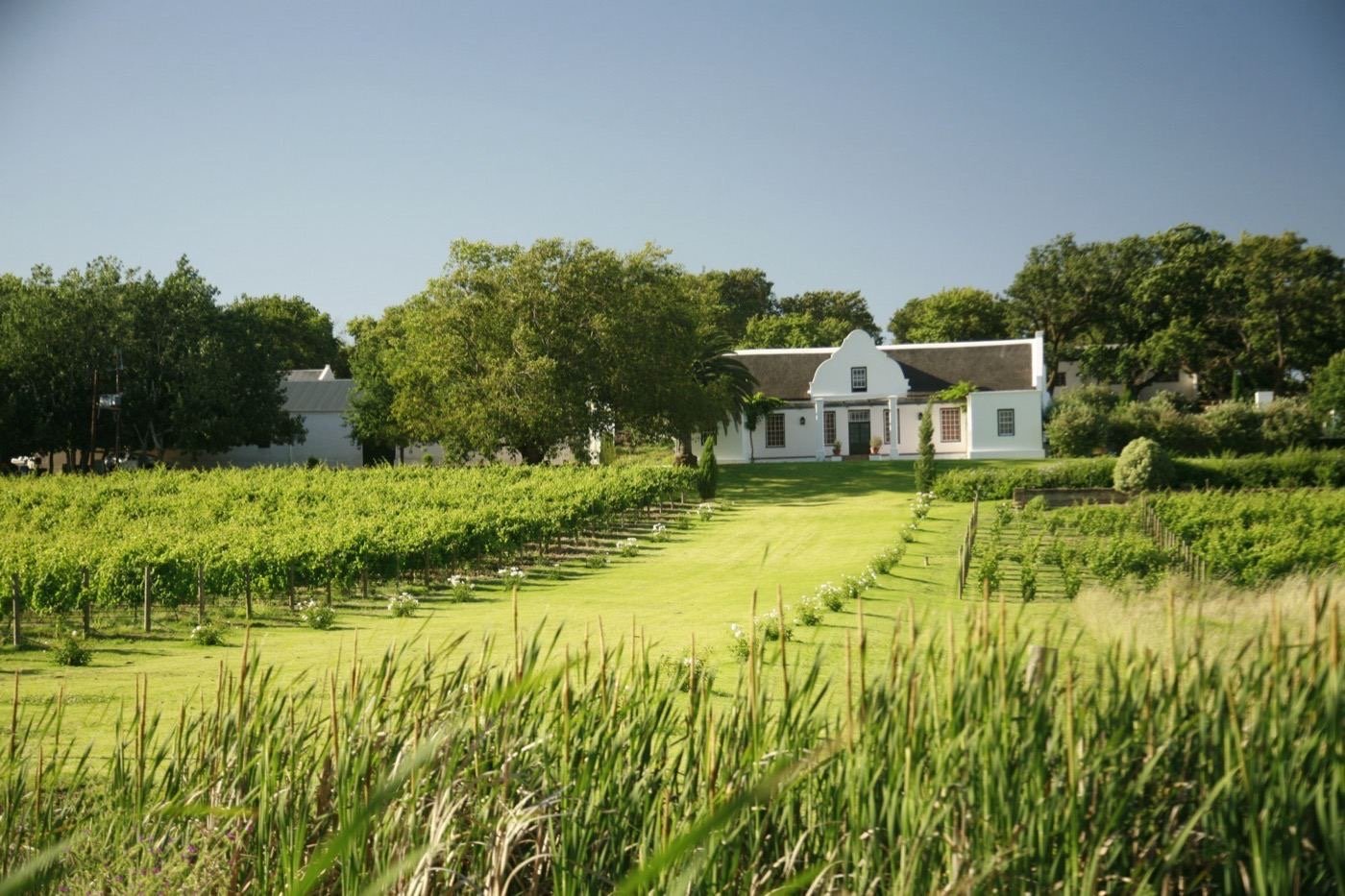 Vondeling Wines wedding venue